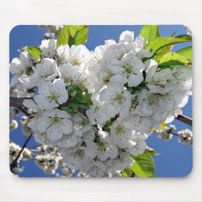 Cherry blommar hjärta musmatta (Framsidan)