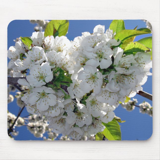 Cherry blommar hjärta musmatta (Framsidan)