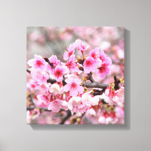 Cherry blommar Japansk blommigt rosa sakura Flower Canvastryck