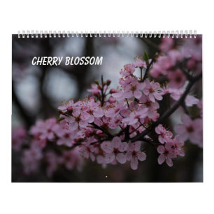 Cherry Blommar Kalender