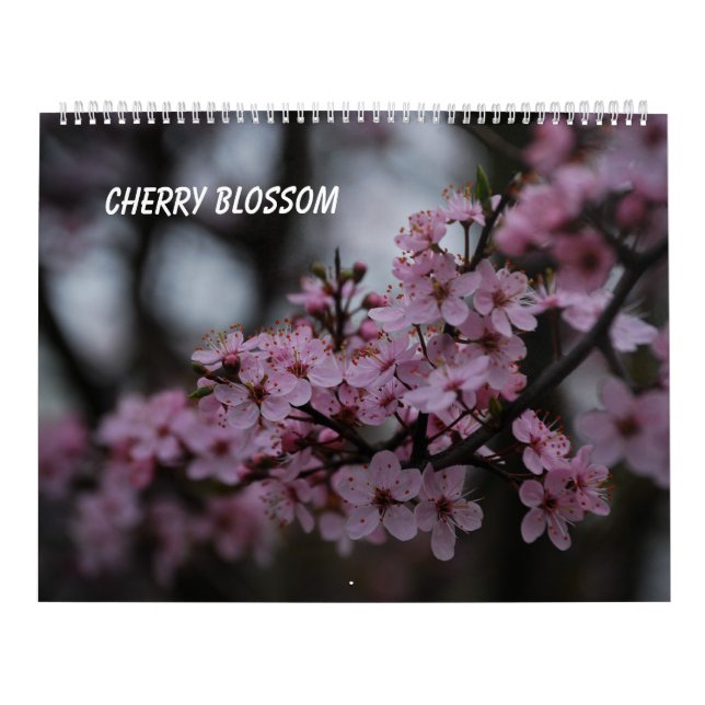 Cherry Blommar Kalender (Omslag)