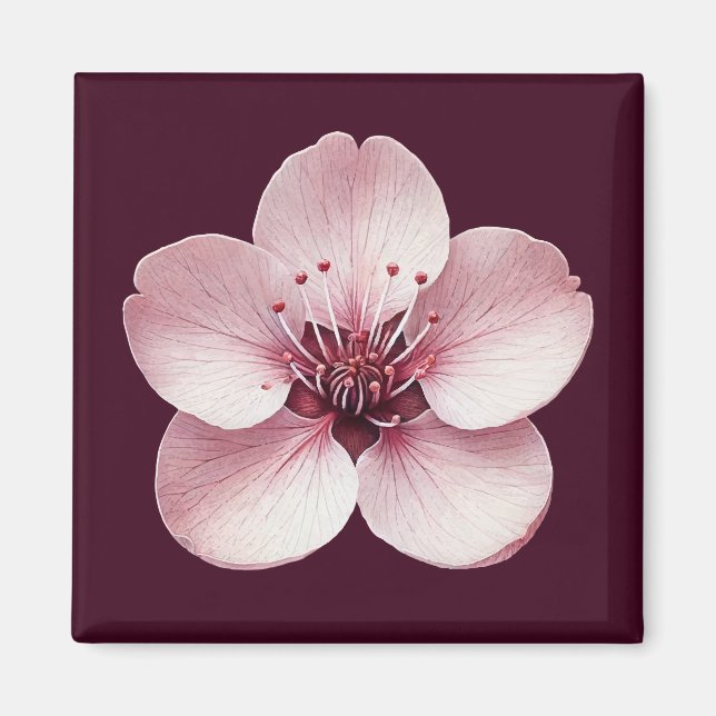 Cherry Blommar Magnet (Framsidan)