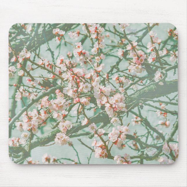 Cherry blommar musmatta (Framsidan)