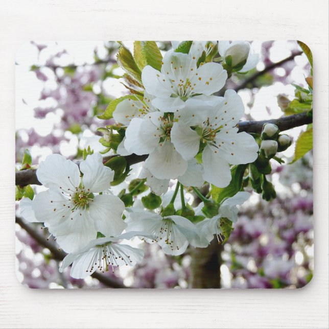 Cherry Blommar Musmatta (Framsidan)
