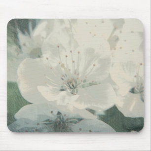 Cherry Blommar Musmatta