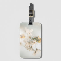 Cherry Blommar Nature Photo