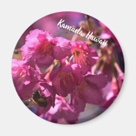 Cherry Blommar och Bee Magnet