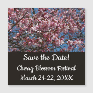 Cherry Blommar och Blå himmel Vår Blommigten