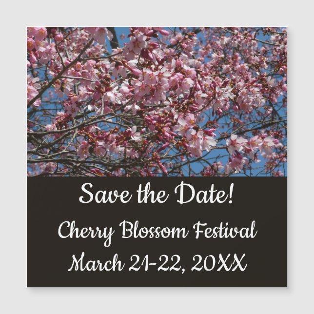 Cherry Blommar och Blå himmel Vår Blommigten (Framsida)