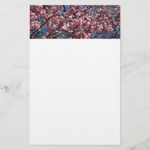 Cherry Blommar och Blå himmel Vår Blommigten Brevpapper