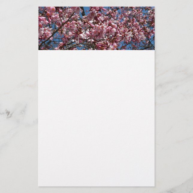 Cherry Blommar och Blå himmel Vår Blommigten Brevpapper (Framsida)