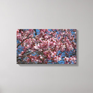 Cherry Blommar och Blå himmel Vår Blommigten Canvastryck