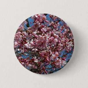 Cherry Blommar och Blå himmel Vår Blommigten Knapp
