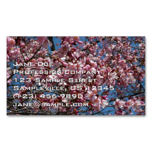 Cherry Blommar och Blå himmel Vår Blommigten Magnetiska Visitkort