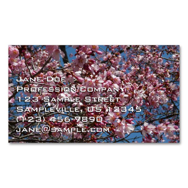 Cherry Blommar och Blå himmel Vår Blommigten Magnetiska Visitkort (Framsida)