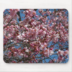 Cherry Blommar och Blå himmel Vår Blommigten Musmatta