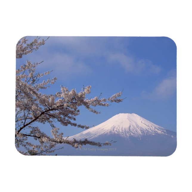 Cherry Blommar och Mt. Fuji 2 Magnet (Horisontell)