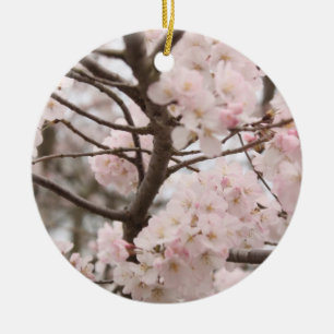 Cherry Blommar Ornament