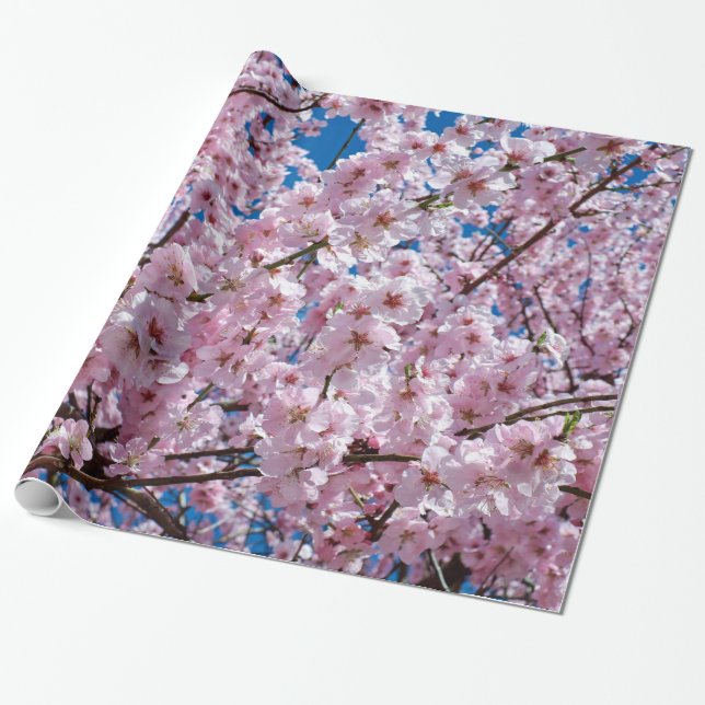Cherry blommar presentpapper (Utrullad)