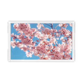 Cherry Blommar Sakura Flower Träd Bricka