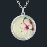 Cherry Blommar Silverpläterat Halsband<br><div class="desc">Stäng vyn över den ömtåliga blommarna av körsbär. En pastel-rosa blomma med mjuka runda blad. Bakgrunden är en grön blek.</div>
