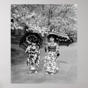 Cherry Blommar Stroll, 1925 Poster