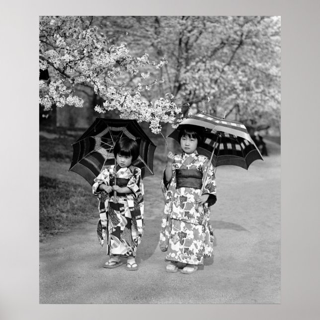 Cherry Blommar Stroll, 1925 Poster (Framsidan)