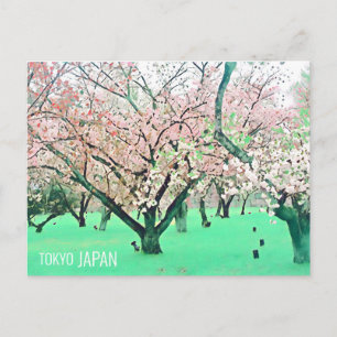 Cherry Blommar Tokyo Park Japansk resa Vykort