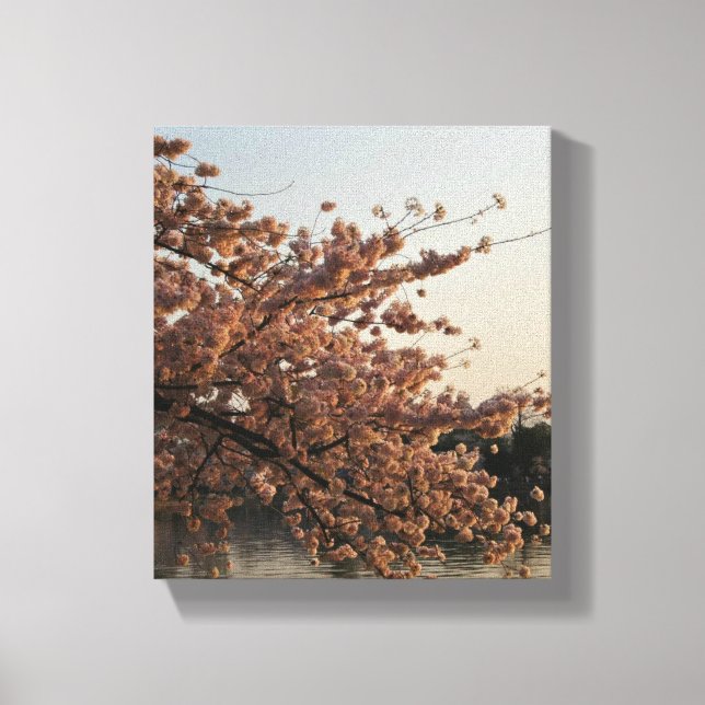 Cherry Blommar Träd Canvas (Framsida)