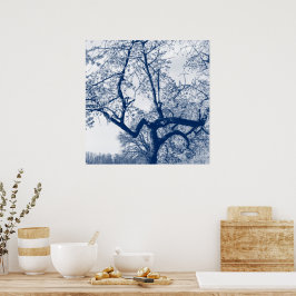 Cherry Blommar Träd, Delfts Blue Poster