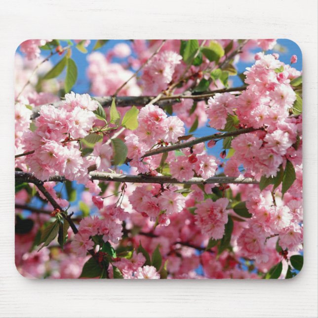Cherry Blommar Träd Mouse Pad Musmatta (Framsidan)