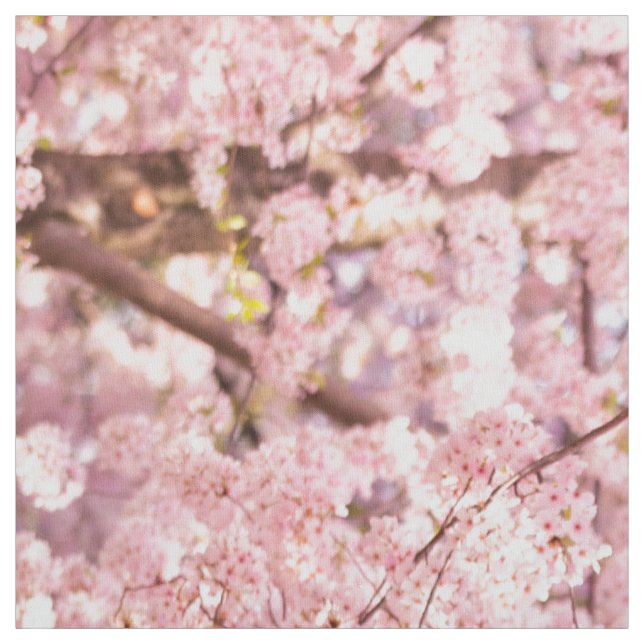 Cherry Blommar Träd Tyg (Provkarta)