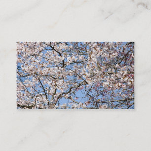 Cherry Blommar Visitkort
