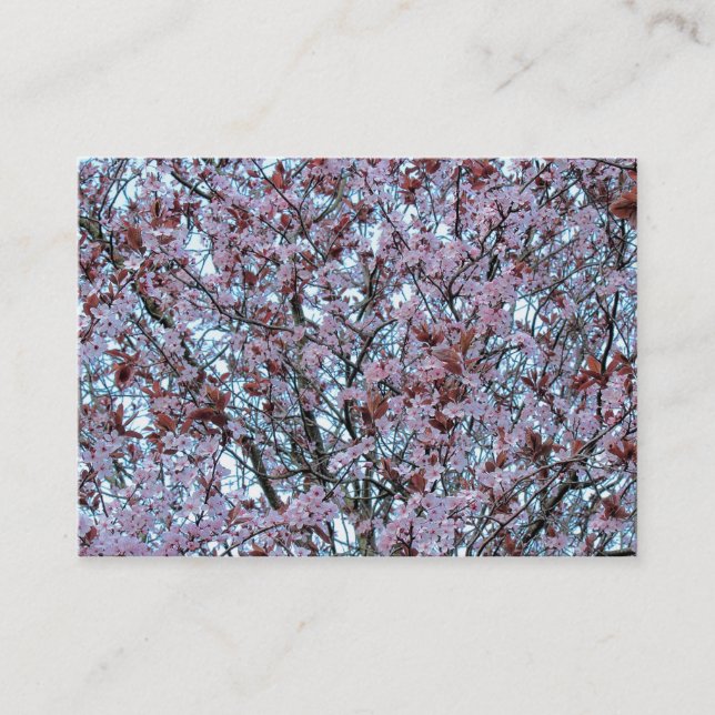 Cherry Blommar Visitkort (Framsida)