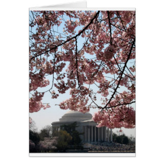 Cherry Blommar Washington DC Hälsningskort