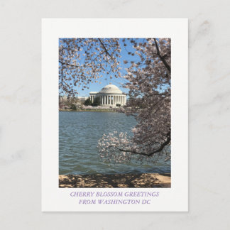 CHERRY BLOMMAR WASHINGTON DC VYKORT