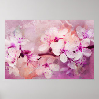 Cherry Blommar Watercolor Art Poster