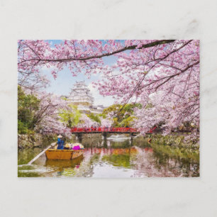 Cherry Blommar Zen Garden Sakura Painting Vykort
