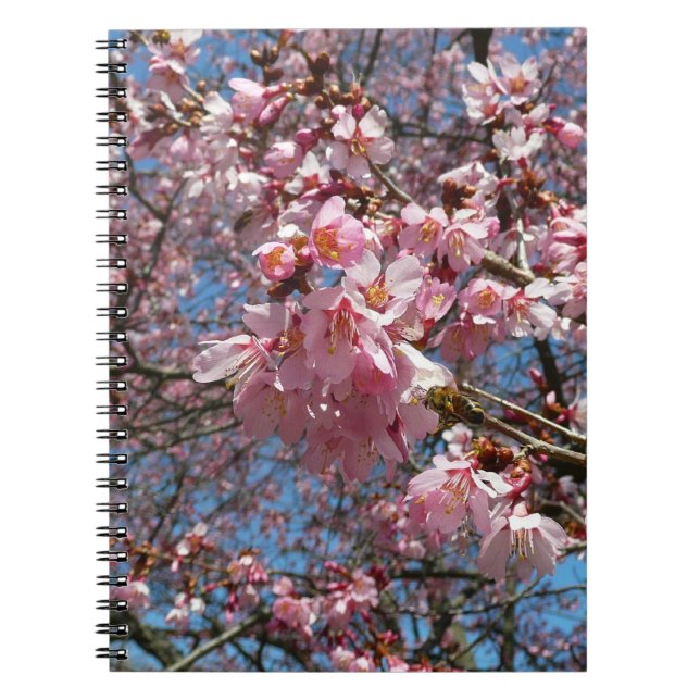 Cherry Blommars and Bee Rosa Vår blommor Anteckningsbok Med Spiral (Framsidan)