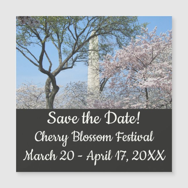 Cherry Blommars and Washington Monument in DC (Framsida)