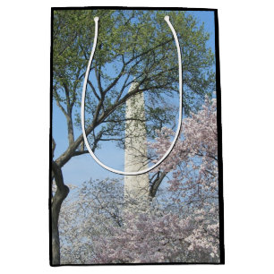 Cherry Blommars and Washington Monument in DC