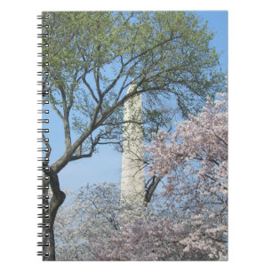 Cherry Blommars and Washington Monument in DC Anteckningsbok Med Spiral