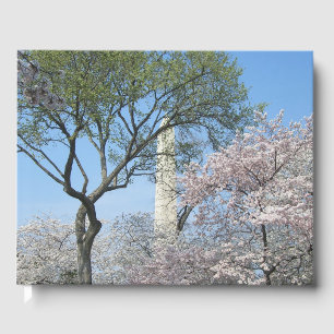 Cherry Blommars and Washington Monument in DC Gästböcker