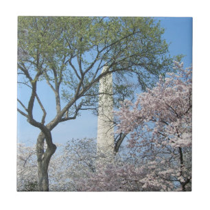 Cherry Blommars and Washington Monument in DC Kakelplatta