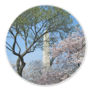 Cherry Blommars and Washington Monument in DC Knopp