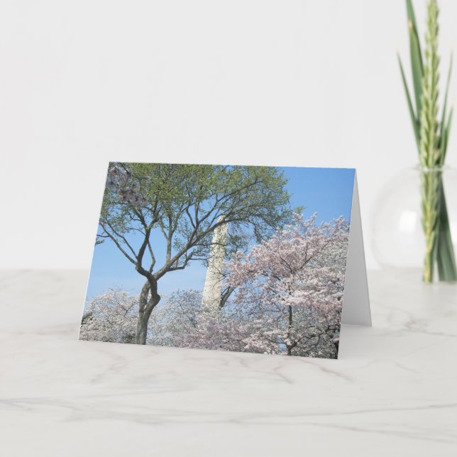 Cherry Blommars and Washington Monument in DC Kort (Framsida)
