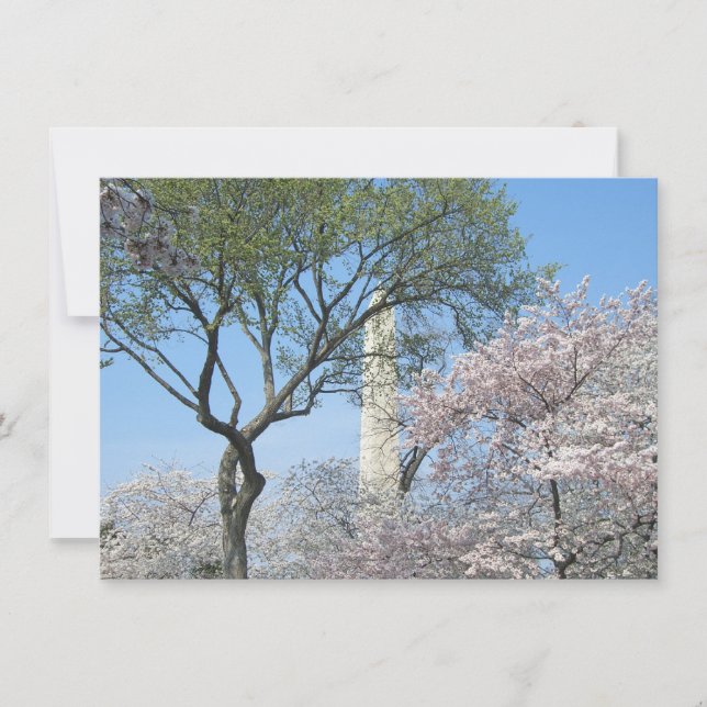 Cherry Blommars and Washington Monument in DC Kort (Framsida)