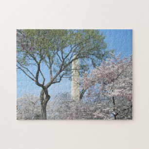 Cherry Blommars and Washington Monument in DC Pussel