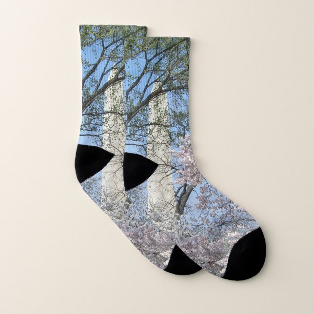 Cherry Blommars and Washington Monument in DC Strumpor (Par)