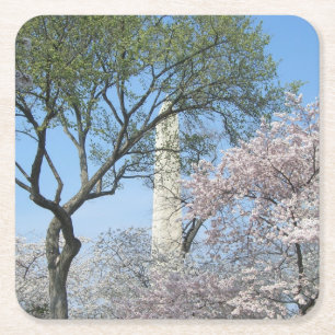 Cherry Blommars and Washington Monument in DC Underlägg Papper Kvadrat